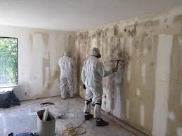 Best Residential Mold Inspection & Testing  in South Bend, WA